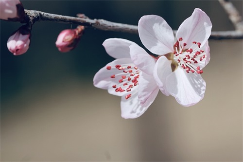 以汝字开头的女宝宝名字大全（汝字在名字中的寓意）